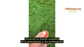Rese&ntilde;a del Hozelock 30 m AutoReel Manguera, Standard, 2403 0000