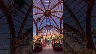 San Diego&rsquo;s Botanical Building Reopens After $26M Renovation!  #exploresandiego