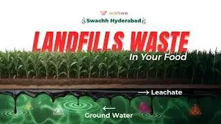 Is Your Food Contaminated? The Hidden Impact of Waste Mismanagement & Landfills