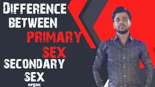 Difference between primary sex organs and secondary sex organ #biology
