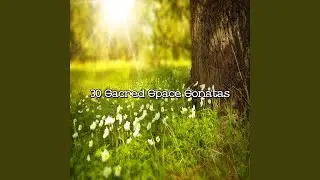 Natures Gift Of Peace