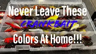 My Favorite Winter & Pre-Spawn Crankbait Colors!!