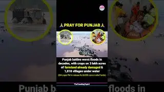 Punjab battles worst floods in decades; 1,018 Villages submerged across 9 Districts