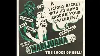 Weeding through the Myths: Cannabis 101