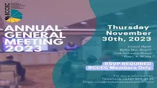 Reliance Share Price Stock ends session 232 lower post Annual General Meeting  Check details