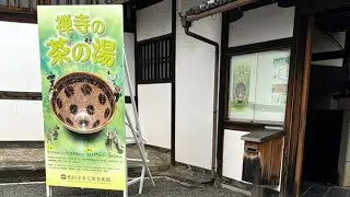 Live🇯🇵 Shokoku-ji 相国寺 Shokoku-ji Jotenkaku Museum 相国寺承天閣美術館