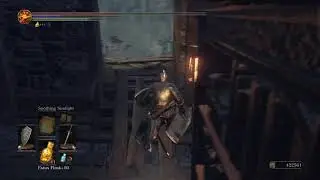 DARK SOULS 3 99+ Luck