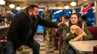 Bully Slapped a Woman Holding a Puppy — He Didn’t Know Veteran Marine & His K9 Were Watching