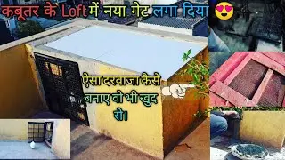Apne Pigeon Loft me naya Darwaja  laga diya || Kabuatr ke darbe ka darwaja kase bnaye?