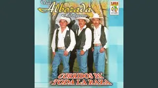 Amargura en la Sangre
