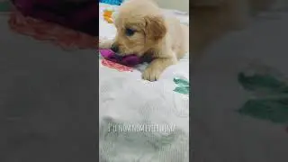 Digby's nom nom