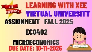 ECO402 MICROECONOMICS ASSIGNMENT Fall 2025 Virtual University of Pakistan