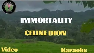 IMMORTALITY CELINE DION VIDEO KARAOKE LYRICS SONGS 