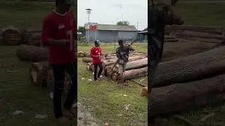 Persiapan muat kayu a3 panjang 200up #woodworking #reels #shorts