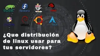 Que distribuci&oacute;n Linux usar para servidores