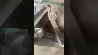 Bag packing machine with weighing filling, testing with sunflower seeds