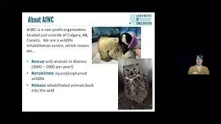 Alberta Institute for Wildlife Conservation - Creatures and Climate (Grades 3-6)