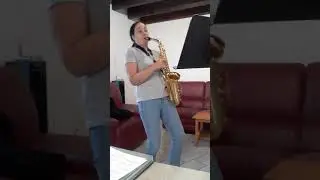 Material Girl by Madonna. ALTO Saxophone