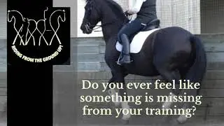 Foundations of riding from the ground up! 