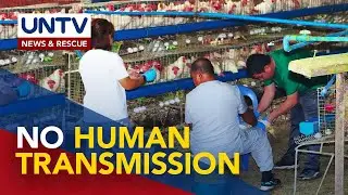 DOH, kinumpirmang walang naitalang human transmission ng bird flu sa Leyte