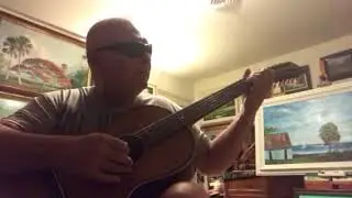 Loving The BarBque Bob Stella 12 string vintage