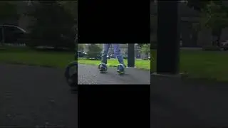 Incredible Orbit wheel Skates