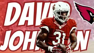 David Johnson || These Days || NFL || Mix