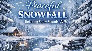 Relaxing Nature Sound 🌲Calm Your Mind Reduce Stress & Sleep Better