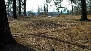 Fort Dickerson - Knoxville, TN - Union Civil War fort