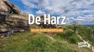 De Harz in Duitsland | Roadtrip langs de mooiste plekken in de natuur