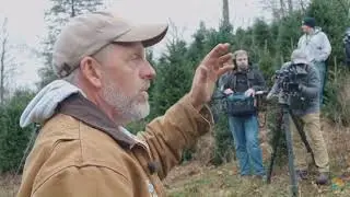 How Do You Harvest A 25-Foot Christmas Tree For The White House?