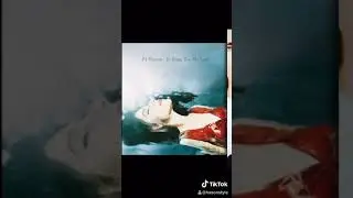 Vintage 1995 Pj Harvey - Down By The Water Shirt