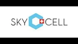 SkyCell - ANSYS CADFEM t&eacute;moignage client