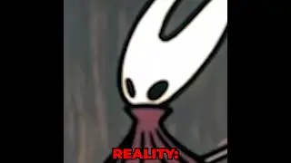 Expectations VS. Reality #silksong