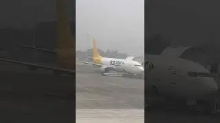 Dhl blue dart cargo airplane loading #cargoplane #dhlgroup #cargoplanes #airplanespotting #cargo