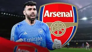 DAVID RAYA BREAKS RECORDS AND STUNS THE PREMIER LEAGUE WITH UNBELIEVABLE CLEAN-SHEET  FOR ARSENAL