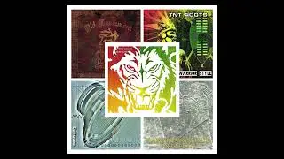 Dub Reggae Mix - Earthquake / TNT Roots Chapter 1