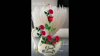 # Good morning video with beautiful flowers # Mind happiness # 💐💐💐💐💐
