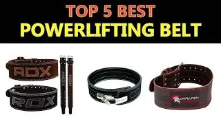 Best Powerlifting Belt (Top 5)