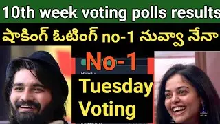 Big Boss Nonstop 10th Week Voting Polls Results | Shoking Elimination