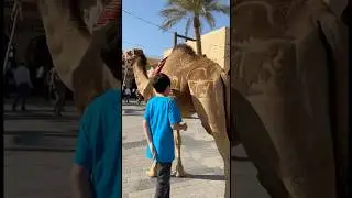Insane Camel Hair Art Design 🐪🎨 | Desert Style!