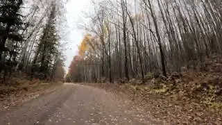 Rhinelander Logging Trails W/a 2004 Toyota Matrix & Michelin's Cross Climate II Tire Challenge