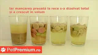 PetPremium - Test de digestie - hrana pentru caini presata la rece vs. 3 branduri de hrana uscata cl