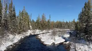 Michigan Upper Pennisula McCormick Wilderness Tract Trailhead (October 20th, 2022)