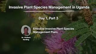 Effective Invasive Plant Species Management Plans