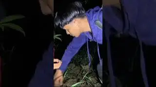 pusaka tusuk konde