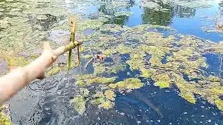 How to reduce your stress? The satisfying ASMR sound of tapping water #asmr #satisfying #nature #uk 