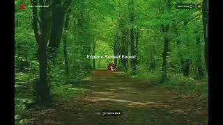 Content Exploration