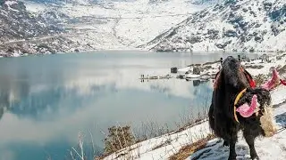 Part 12 - Indian Switzerland Zero Point Gangtok Sikkim