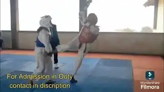 Arjun Academy Ooty | South Indian National Taekwondo Championship Highlights
